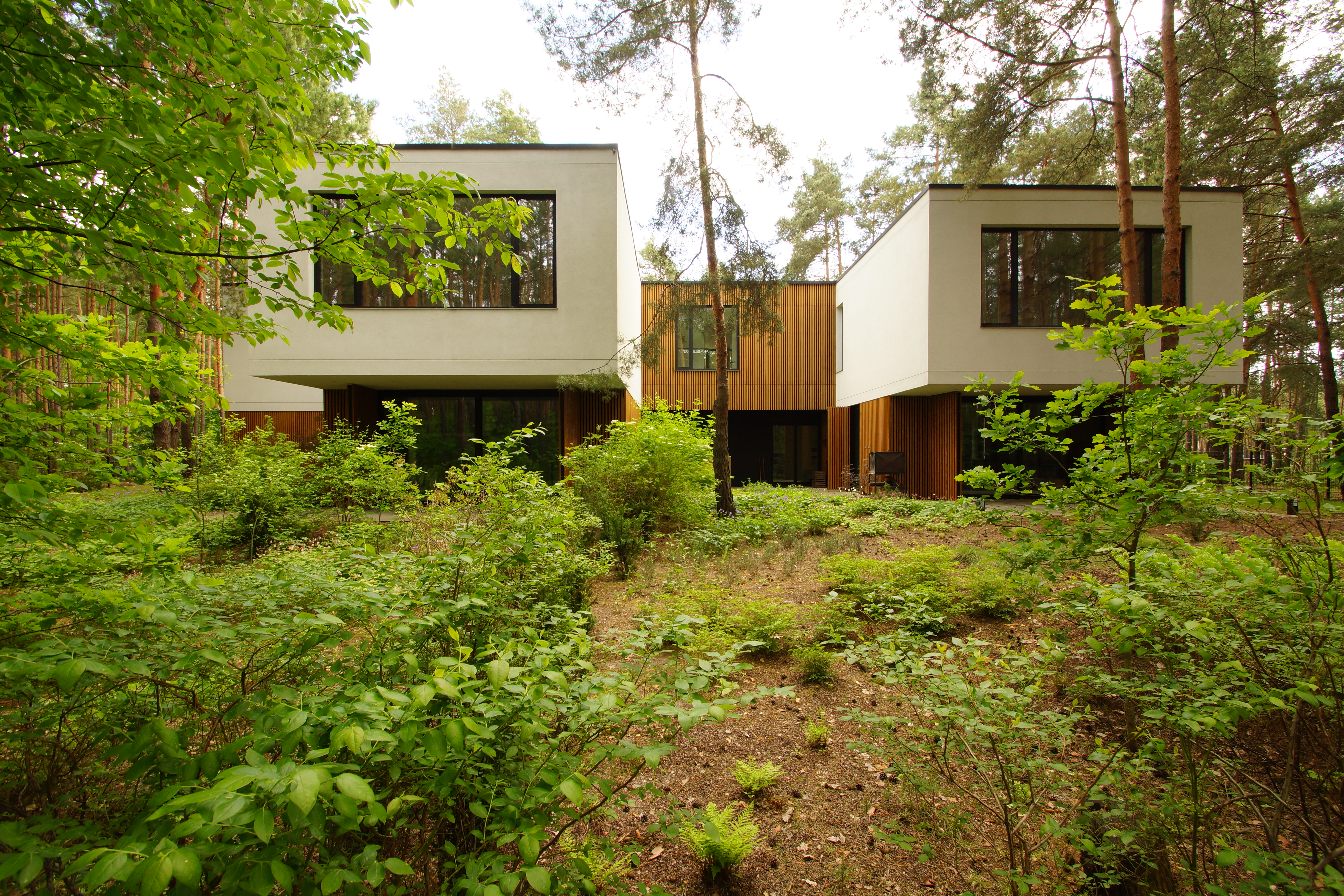 Monolithic shaped villa in the forest, Jozefow
